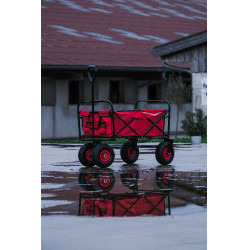 Carrinho 4 rodas Hippotonic Vermelho Carrinho 4 rodas Hippotonic Vermelho