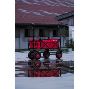Carrinho 4 rodas Hippotonic Vermelho Carrinho 4 rodas Hippotonic Vermelho