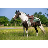 Sela Western Westride Topeka