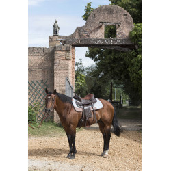 Almofada para cavalo Westride feltro 16 mm Almofada para cavalo Westride feltro 16 mm