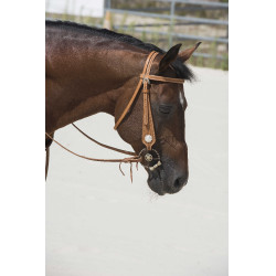 Bridon Westride por Franck Perret Aurora Bridon Westride por Franck Perret Aurora