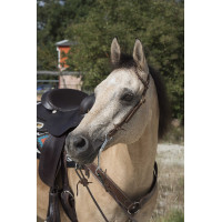 Bridon Westride por Franck Perret 1 orelha Chocolate Castanho