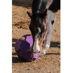 Bola anti-glutão Hippotonic para feno com múltiplos furos Violeta