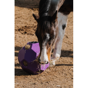 Bola anti-glutão Hippotonic para feno com múltiplos furos Violeta