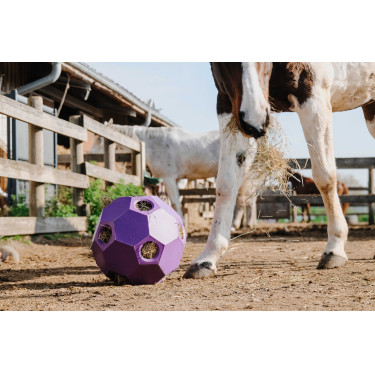Bola anti-glutão Hippotonic para feno com múltiplos furos Violeta Bola anti-glutão Hippotonic para feno com múltiplos furos Violeta