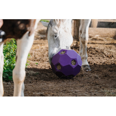 Bola anti-glutão Hippotonic para feno com múltiplos furos Violeta Bola anti-glutão Hippotonic para feno com múltiplos furos Violeta