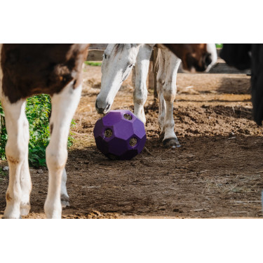 Bola anti-glutão Hippotonic para feno com múltiplos furos Violeta Bola anti-glutão Hippotonic para feno com múltiplos furos Violeta