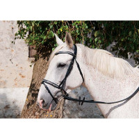 Bridão de couro Pissarot T de T Havana escuro Castanho Bridão de couro Pissarot T de T Havana escuro Castanho