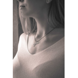 Colar Pénélope equestre Prata