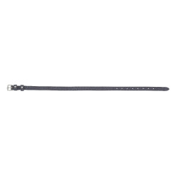 Correias de esporas Norton Glitter Correias de esporas Norton Glitter