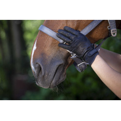 Luvas Equithème Soft couro Preto