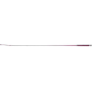 Chicote de adestramento Whip & Go Points Chicote de adestramento Whip & Go Points