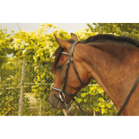 Bridon clincher blanc Goya T de T Noir