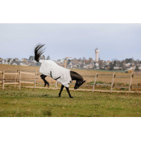 Camisa PVC Equithème Anti-UV Branco Camisa PVC Equithème Anti-UV Branco