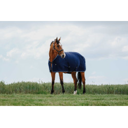 Camisa secante Riding World Camisa secante Riding World