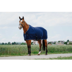Camisa secante Riding World Camisa secante Riding World