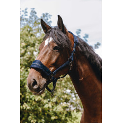 Cabresto de nylon Equithème 3D Mesh Marinho Azul-marinho