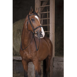 Rédias de borracha Norton Pro Preto Rédias de borracha Norton Pro Preto