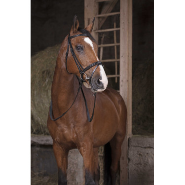 Rédias de borracha Norton Pro Preto Rédias de borracha Norton Pro Preto