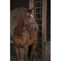 Rendas com alças Norton Pro Havana Castanho