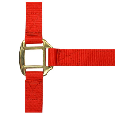 Cabeçada de nylon forrada a couro Norton Vermelho Cabeçada de nylon forrada a couro Norton Vermelho