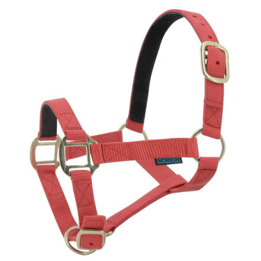 Cabeçada de nylon forrada a couro Norton Vermelho Cabeçada de nylon forrada a couro Norton Vermelho