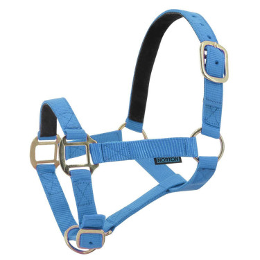Cabeçada de nylon forrada a couro Norton Azul céu Cabeçada de nylon forrada a couro Norton Azul céu