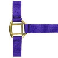 Cabeçada de nylon forrada a couro Norton Preto