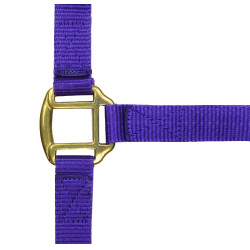 Cabeçada de nylon forrada a couro Norton Violeta