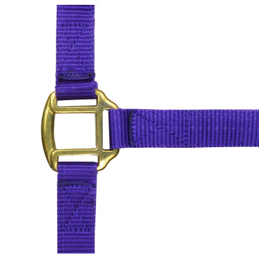 Cabeçada de nylon forrada a couro Norton Violeta Cabeçada de nylon forrada a couro Norton Violeta
