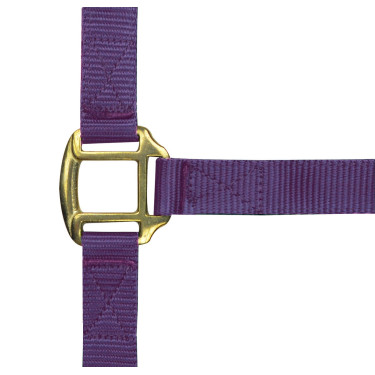 Cabeçada de nylon forrada a couro Norton Violeta Cabeçada de nylon forrada a couro Norton Violeta