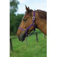 Cabeçada de nylon forrada a couro Norton Preto