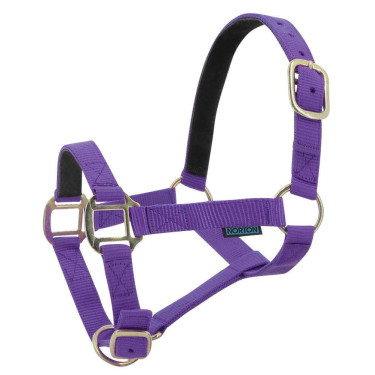 Cabeçada de nylon forrada a couro Norton Violeta Cabeçada de nylon forrada a couro Norton Violeta