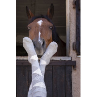 Meias Equithème Girly Cinza / céu Cinzento