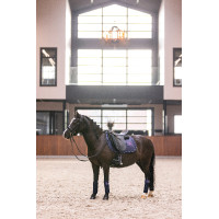 Bandagens de polo Imperial Riding Cosmic Sparkle Marinho Azul-marinho