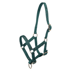Cabresto para potro HV Polo Nena Verde petróleo