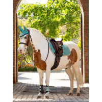 Guétras fechadas Mini LeMieux Água Guétras fechadas Mini LeMieux Água