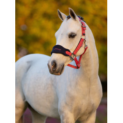 Cabresto de carneiro Vogue Mini LeMieux com guia Arando Rosa Cabresto de carneiro Vogue Mini LeMieux com guia Arando Rosa