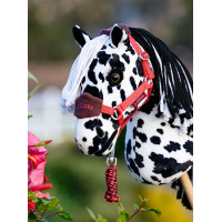 Cabeçada e guia Vogue Hobby Horse LeMieux Lagoa Azul Cabeçada e guia Vogue Hobby Horse LeMieux Lagoa Azul