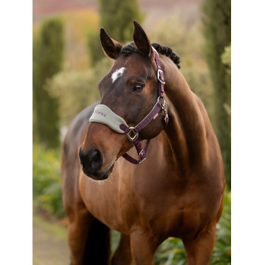 Cabresto e guia Lemieux Vogue Ameixa escura Violeta