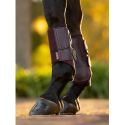 Guêtres flexíveis LeMieux mesh Arika Ameixa escura Violeta Guêtres flexíveis LeMieux mesh Arika Ameixa escura Violeta