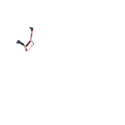 Caveção e corda LeMieux Vogue Esme Arando Rosa Caveção e corda LeMieux Vogue Esme Arando Rosa