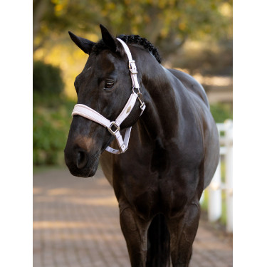 Caveção LeMieux Versailles Lilás Violeta