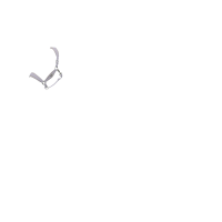 Caveção LeMieux Versailles Lilás Violeta