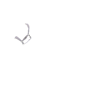 Caveção LeMieux Versailles Lilás Violeta