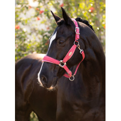 Caveção LeMieux Versailles Arando Rosa