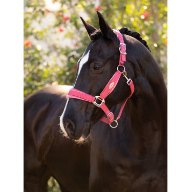 Caveção LeMieux Versailles Arando Rosa