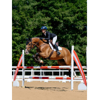 Sela de equitação LeMieux Loire Close Contact Square CSO Benetton Azul
