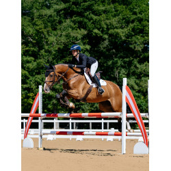 Sela de equitação LeMieux Loire Close Contact Square CSO Branco