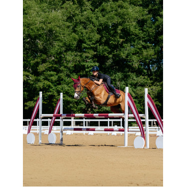 Tapis LeMieux de competição close contact square - algodão Bordéus Bordô Tapis LeMieux de competição close contact square - algodão Bordéus Bordô